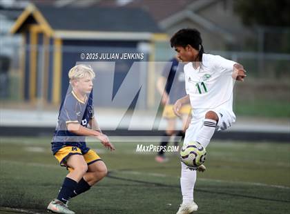 Thumbnail 1 in Borah @ Meridian photogallery.