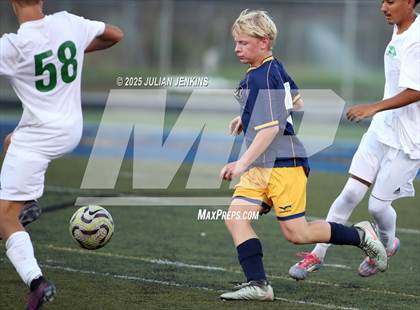 Thumbnail 2 in Borah @ Meridian photogallery.