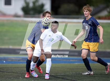 Thumbnail 1 in Borah @ Meridian photogallery.