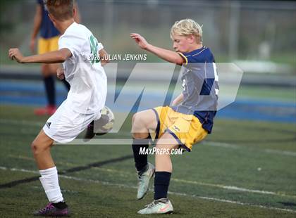 Thumbnail 1 in Borah @ Meridian photogallery.