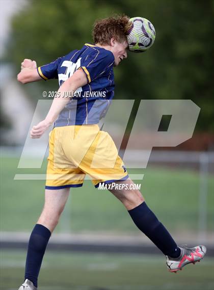 Thumbnail 3 in Borah @ Meridian photogallery.