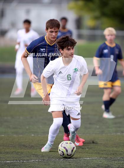 Thumbnail 3 in Borah @ Meridian photogallery.