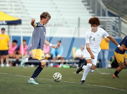 Thumbnail 2 in Borah @ Meridian photogallery.