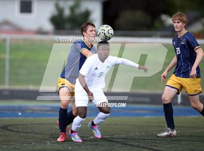 Thumbnail 3 in Borah @ Meridian photogallery.