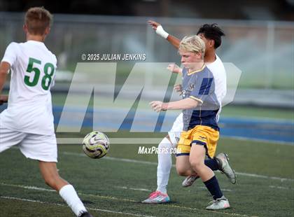 Thumbnail 1 in Borah @ Meridian photogallery.