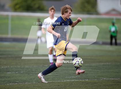 Thumbnail 2 in Borah @ Meridian photogallery.
