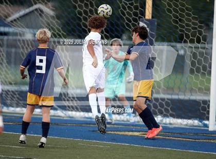 Thumbnail 2 in Borah @ Meridian photogallery.