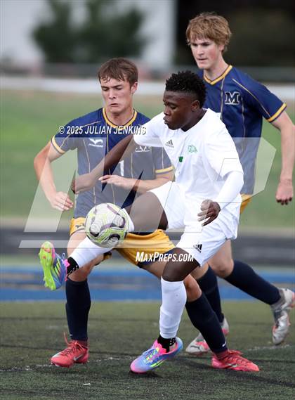 Thumbnail 2 in Borah @ Meridian photogallery.