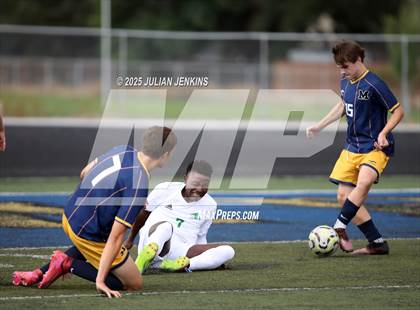 Thumbnail 1 in Borah @ Meridian photogallery.