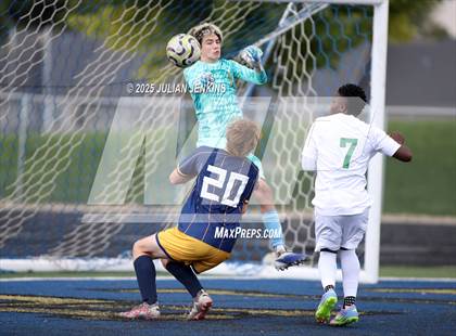 Thumbnail 1 in Borah @ Meridian photogallery.