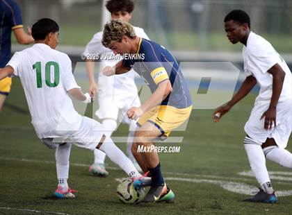 Thumbnail 1 in Borah @ Meridian photogallery.