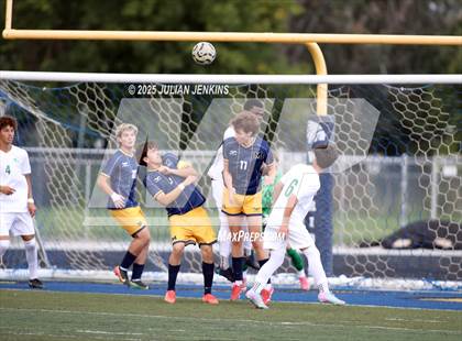 Thumbnail 1 in Borah @ Meridian photogallery.