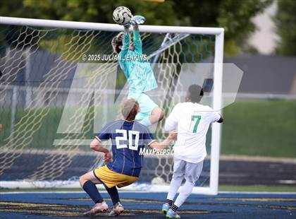 Thumbnail 2 in Borah @ Meridian photogallery.