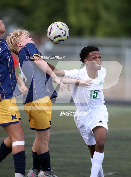 Thumbnail 3 in Borah @ Meridian photogallery.