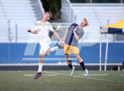 Thumbnail 3 in Borah @ Meridian photogallery.