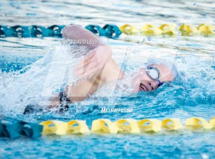 Thumbnail 3 in AIA D2 Swim Finals photogallery.