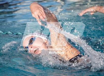 Thumbnail 1 in AIA D2 Swim Finals photogallery.