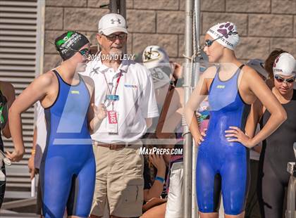 Thumbnail 1 in AIA D2 Swim Finals photogallery.