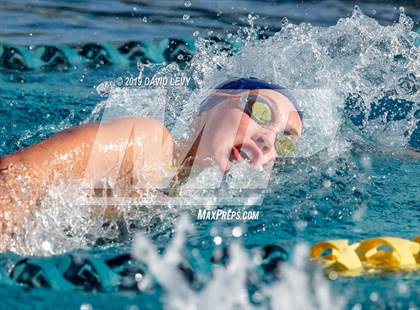 Thumbnail 3 in AIA D2 Swim Finals photogallery.