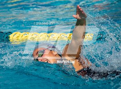 Thumbnail 1 in AIA D2 Swim Finals photogallery.