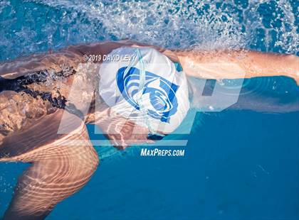 Thumbnail 2 in AIA D2 Swim Finals photogallery.