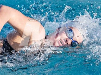 Thumbnail 3 in AIA D2 Swim Finals photogallery.