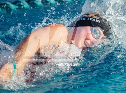 Thumbnail 2 in AIA D2 Swim Finals photogallery.
