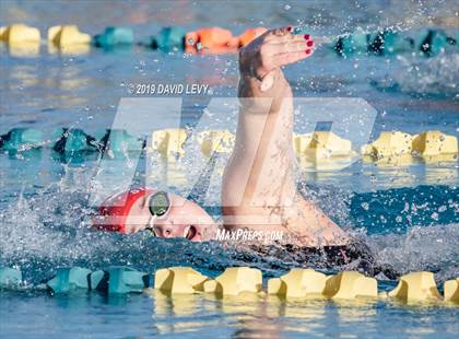 Thumbnail 3 in AIA D2 Swim Finals photogallery.