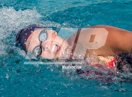 Thumbnail 1 in AIA D2 Swim Finals photogallery.