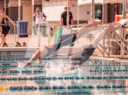 Thumbnail 1 in AIA D2 Swim Finals photogallery.