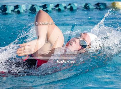 Thumbnail 2 in AIA D2 Swim Finals photogallery.