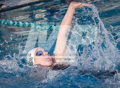 Thumbnail 2 in AIA D2 Swim Finals photogallery.