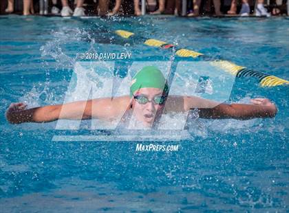 Thumbnail 2 in AIA D2 Swim Finals photogallery.