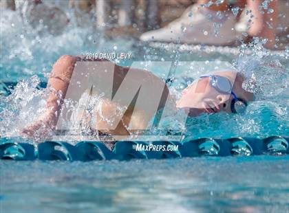 Thumbnail 2 in AIA D2 Swim Finals photogallery.