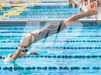 Thumbnail 2 in AIA D2 Swim Finals photogallery.