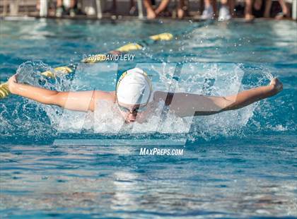 Thumbnail 3 in AIA D2 Swim Finals photogallery.