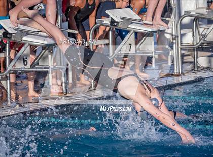 Thumbnail 3 in AIA D2 Swim Finals photogallery.