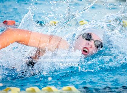 Thumbnail 3 in AIA D2 Swim Finals photogallery.