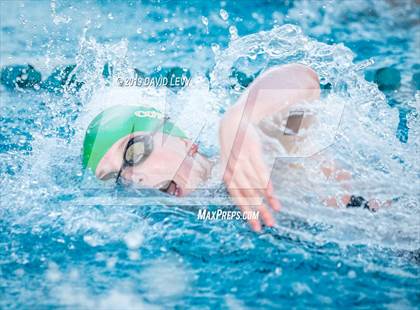 Thumbnail 3 in AIA D2 Swim Finals photogallery.