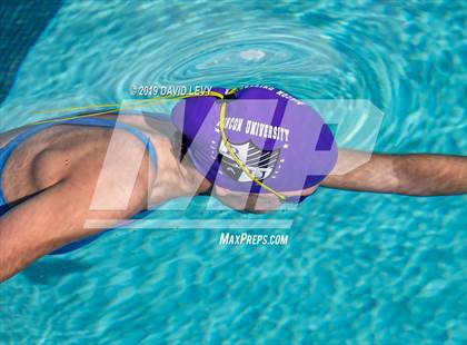 Thumbnail 2 in AIA D2 Swim Finals photogallery.