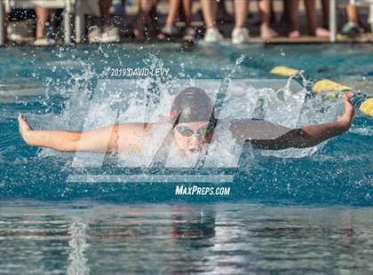Thumbnail 3 in AIA D2 Swim Finals photogallery.