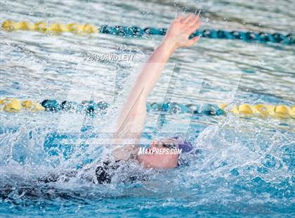 Thumbnail 3 in AIA D2 Swim Finals photogallery.