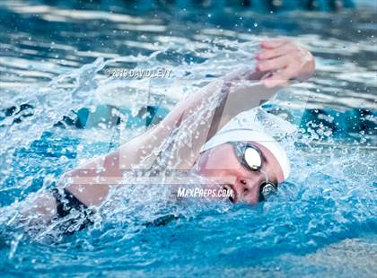 Thumbnail 2 in AIA D2 Swim Finals photogallery.