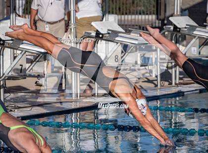 Thumbnail 2 in AIA D2 Swim Finals photogallery.