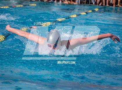 Thumbnail 1 in AIA D2 Swim Finals photogallery.