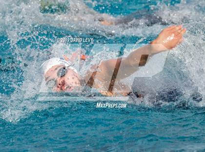 Thumbnail 3 in AIA D2 Swim Finals photogallery.