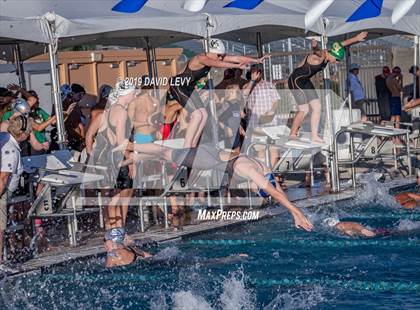 Thumbnail 2 in AIA D2 Swim Finals photogallery.