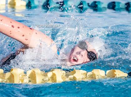 Thumbnail 2 in AIA D2 Swim Finals photogallery.