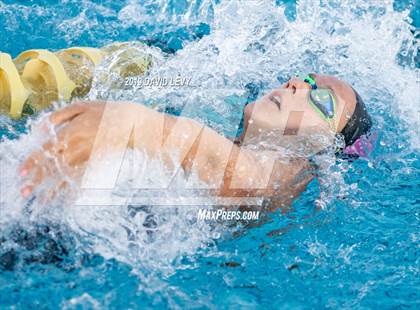 Thumbnail 1 in AIA D2 Swim Finals photogallery.