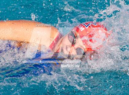 Thumbnail 1 in AIA D2 Swim Finals photogallery.
